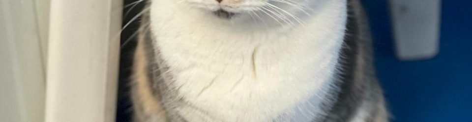 IMG-20241228-WA0055-e1736427275685