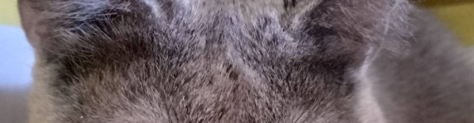 signal-2024-04-03-13-11-29-399-5