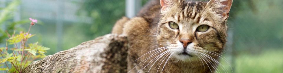 01JWGH1G5BYHS416H619Q81Q56.a7cd613b89f5acc783d32d5eb1928a34