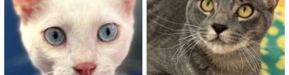 20251022_073543-scaled