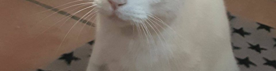 signal-2025-03-09-15-00-54-607-2 signal-2025-03-09-15-00-54-607-2