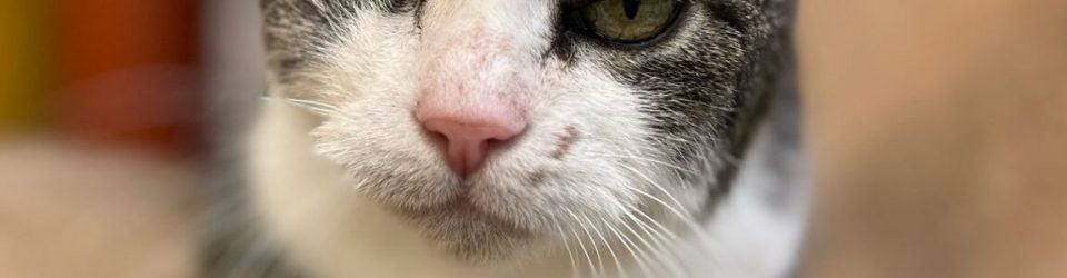 Lilly_Fee-e1753461060219-1151x1536